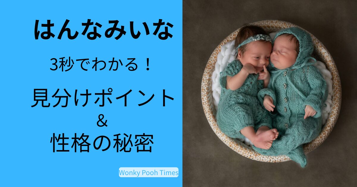 はんなみいなの見分け方！3秒でわかる方法＆性格の意外なギャップ